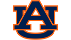 High school hockey team partner logo