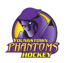 Youth hockey association partner logo