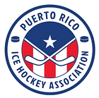 Hockey team partner crest